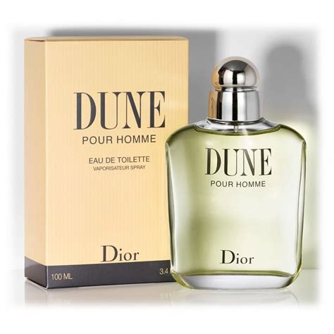 dior dune pour homme 100ml|dune pour homme review.